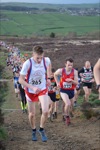 Click on thumbnail for larger photo